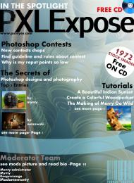TheIssue